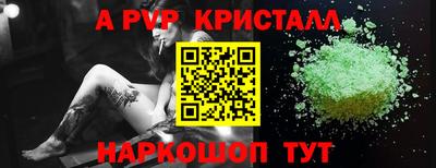 spice Бердск