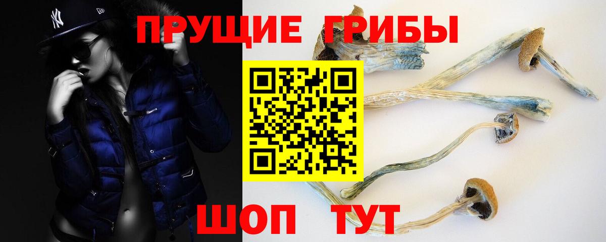 Приморско-Ахтарск  Псилоцибиновые грибы Magic Shrooms  Вход с VPN  Псилоцибиновые грибы Cubensis 